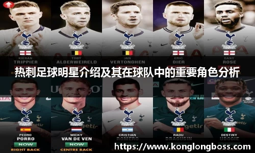 热刺足球明星介绍及其在球队中的重要角色分析